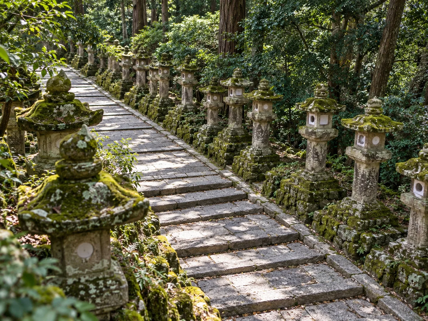 苔むした石灯籠が並ぶ赤綴神社の参道