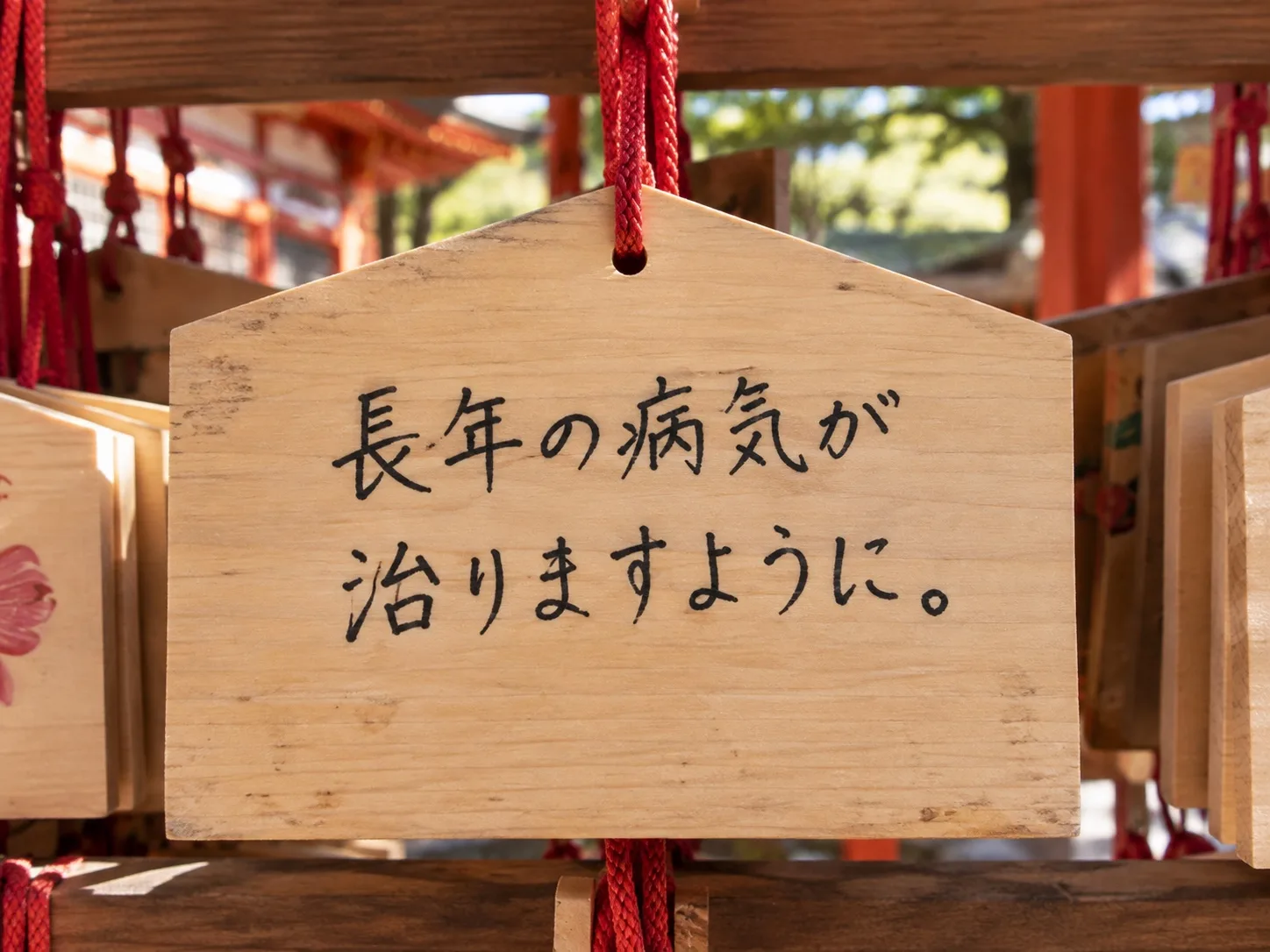 長年の病気が治りますようにと書かれた病気平癒の絵馬